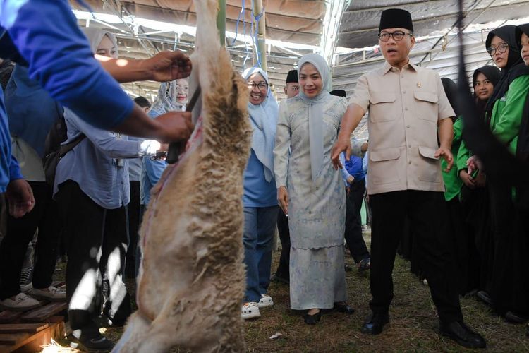 Mendes Hadiri Penyembelihan Kurban Seribu Domba di Serang